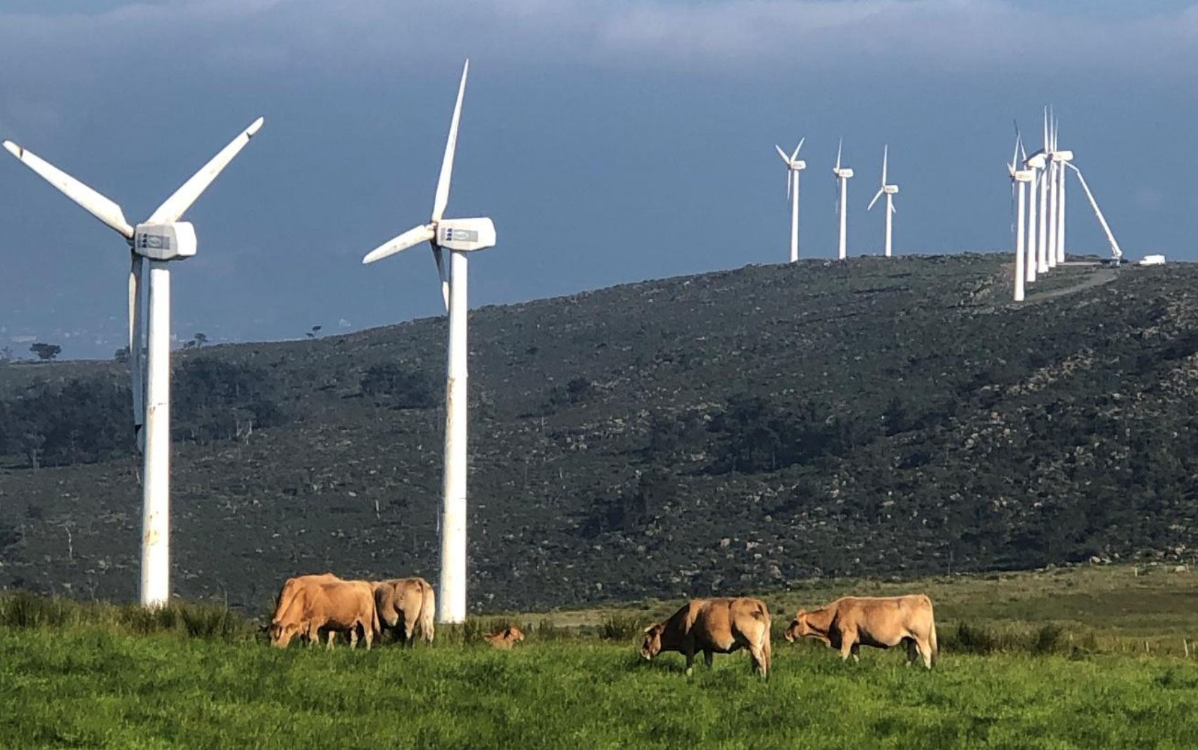 Proyecto NanoWinTur - Wind farms implemented in Galicia’s landscapes