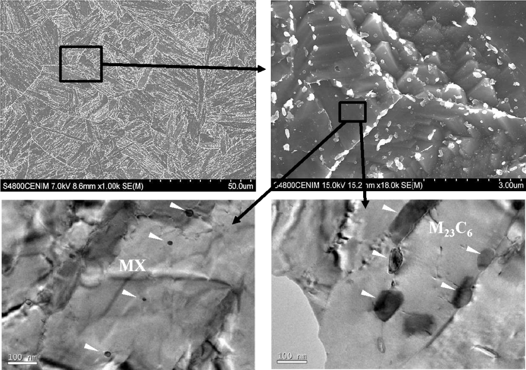 Fig. 2 Scanning and transmission electron micrographs showing, at different scales, the microstructure of a ferritic-martensitic steel (G91) used in thermal power plants.